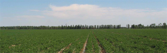 十八禁午夜福利免费网站高清免费