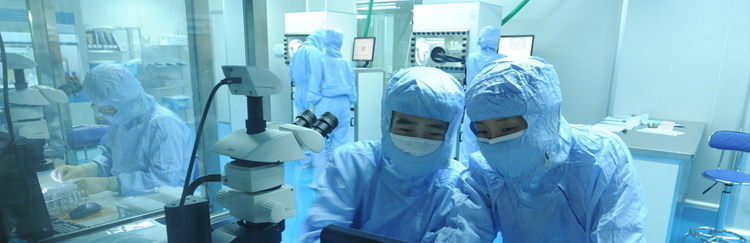 十八禁午夜福利免费网站高清免费