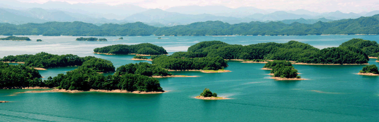 十八禁午夜福利免费网站高清免费