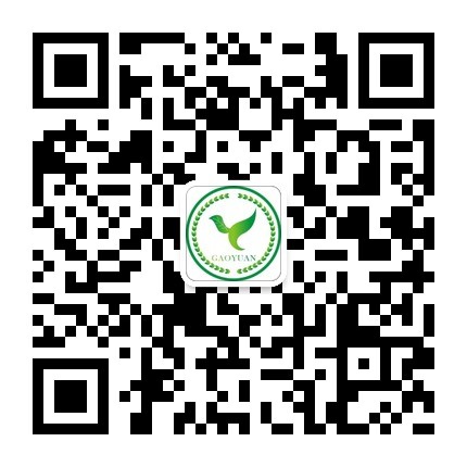 十八禁午夜福利免费网站高清免费