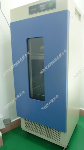 十八禁午夜福利免费网站高清免费