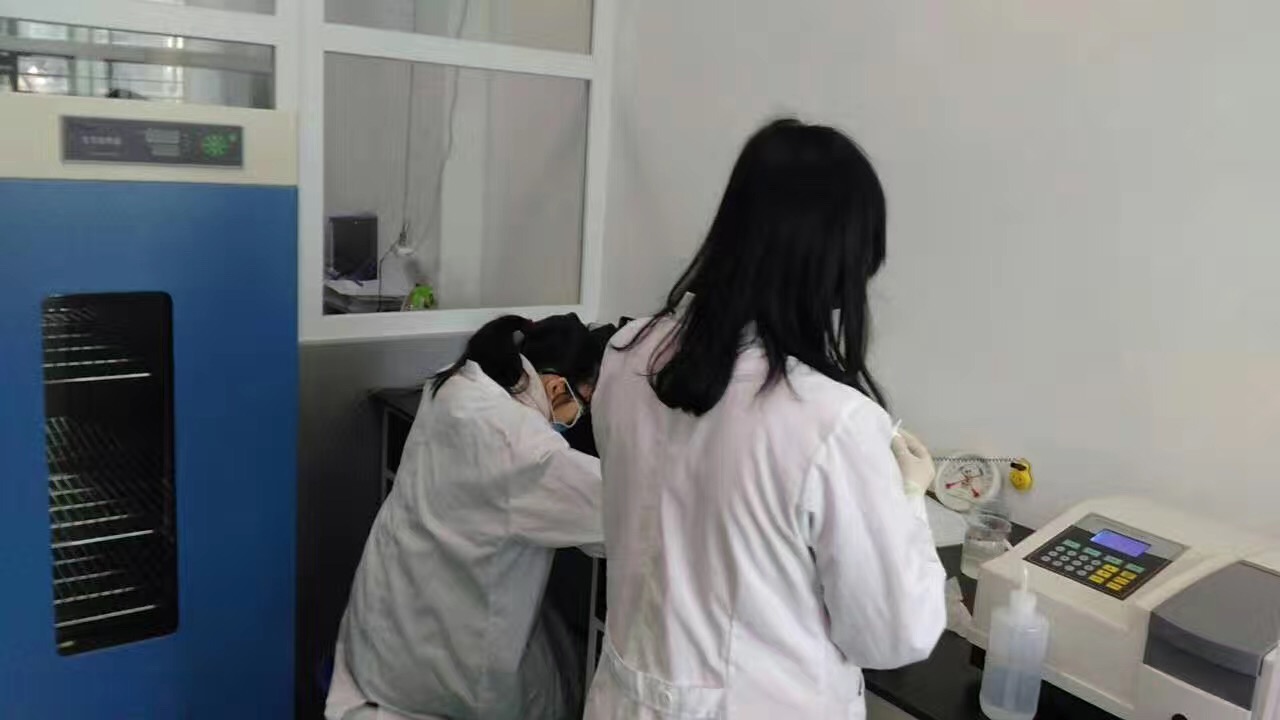 十八禁午夜福利免费网站高清免费