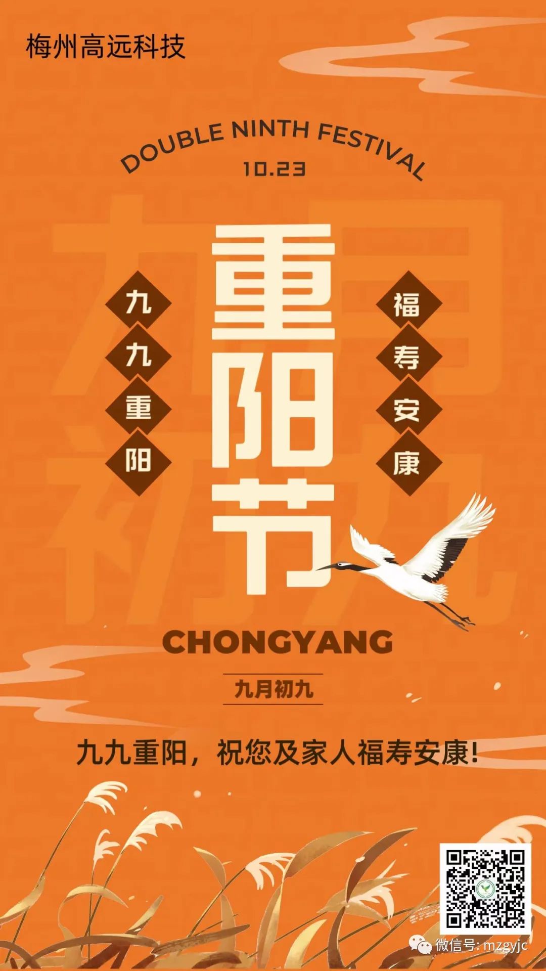 十八禁午夜福利免费网站高清免费